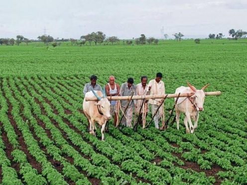 Bihar Government proposing weather related farming training programme.